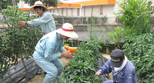 ワークステーション八幡